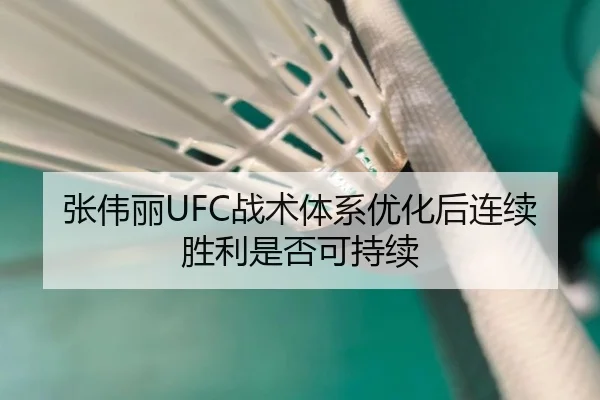 张伟丽UFC战术体系优化后连续胜利是否可持续